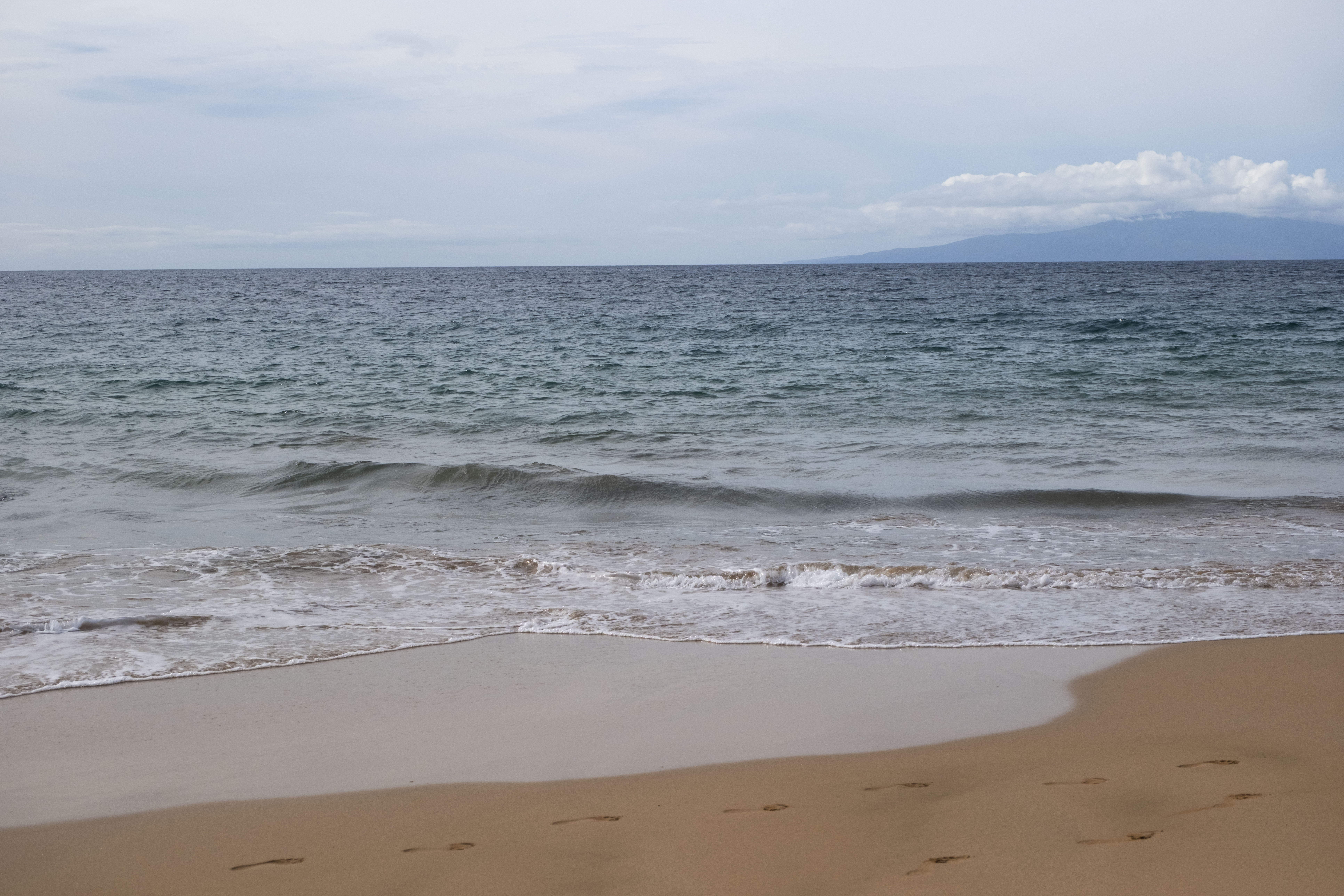 Hawaii Winter 2026.jpg